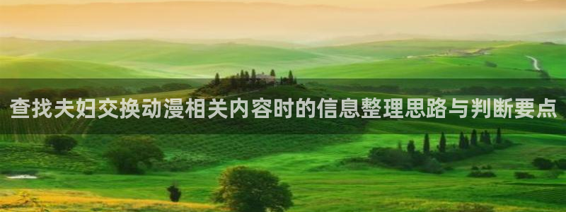 动漫之家官网入口:查找夫妇交换动漫相关内容时的信息整理思路与判断要点