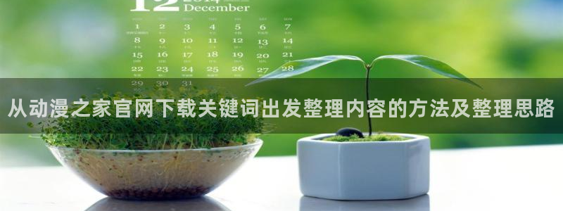 免费看动画片大全