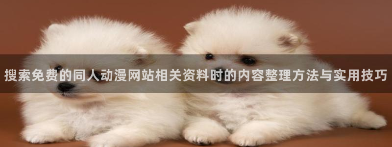 片子推荐动漫:搜索免费的同人动漫网站相关资料时的内容整理方法与实用技巧