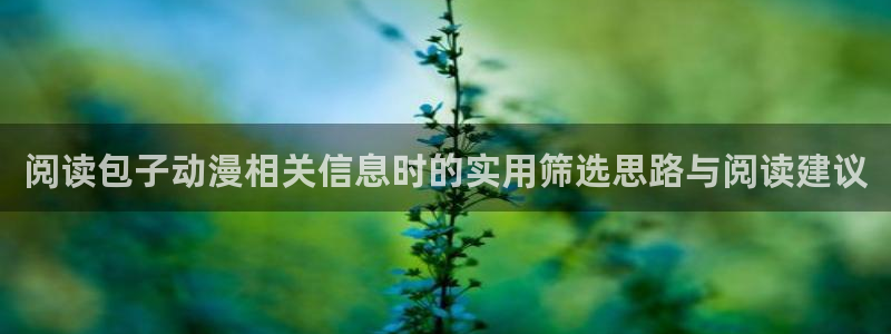 漫漫动漫:阅读包子动漫相关信息时的实用筛选思路与阅读建议
