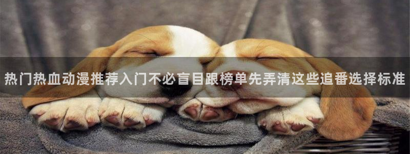 花滑动漫:热门热血动漫推荐入门不必盲目跟榜单先弄清这些追番选择标准