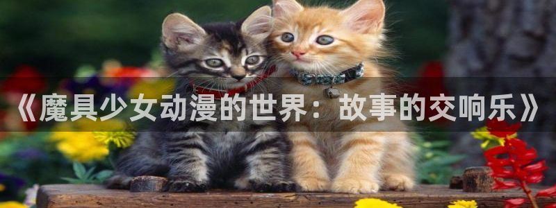 我真没想重生啊动漫：《魔具少女动漫的世界：故事的交响乐》