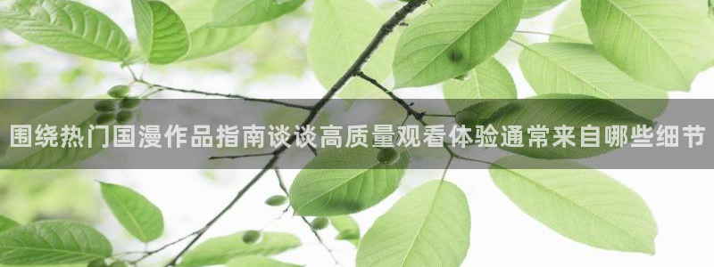 动漫男男网站:围绕热门国漫作品指南谈谈高质量观看体验通常来自哪些细节